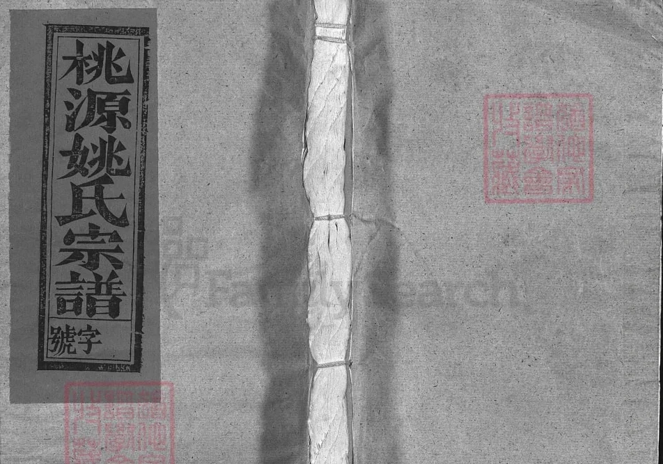 江西上饶桃源姚氏宗谱电子版PDF下载-中华家谱网