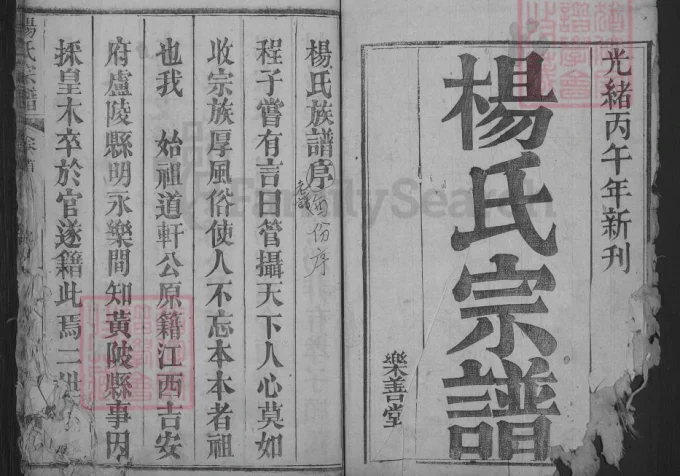 湖北武汉黄陂杨氏宗谱（乐善堂）-中华家谱网