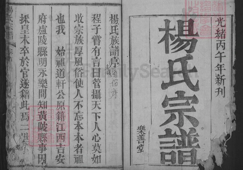 湖北武汉黄陂杨氏宗谱（乐善堂）电子版PDF下载-中华家谱网
