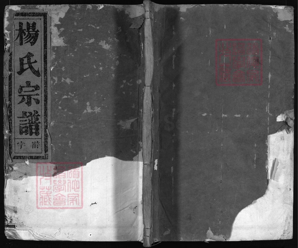 图片[1]-浙江兰溪尖峰杨氏宗谱（清白堂）电子版PDF下载-中华家谱网