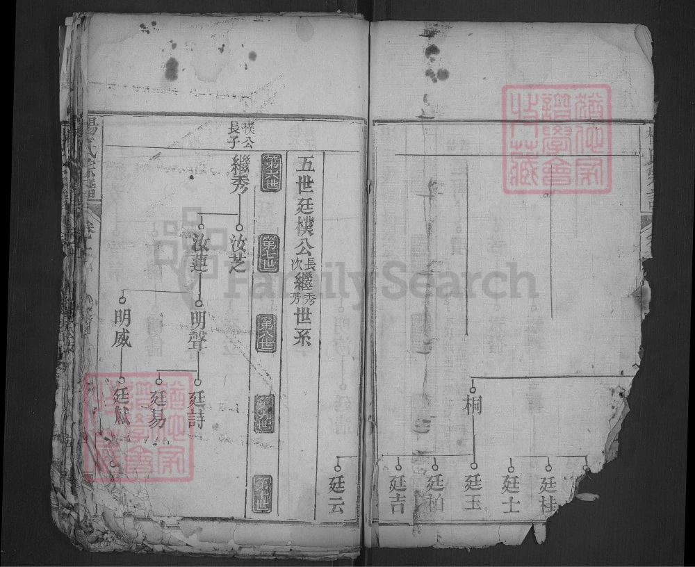 图片[6]-湖北武汉黄陂杨氏宗谱（乐善堂）电子版PDF下载-中华家谱网