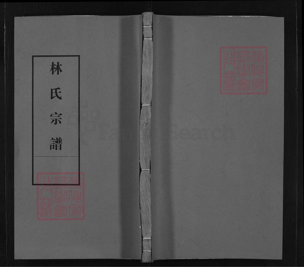 图片[1]-浙江衢州常山县林氏宗谱（九牧堂）电子版PDF下载-中华家谱网