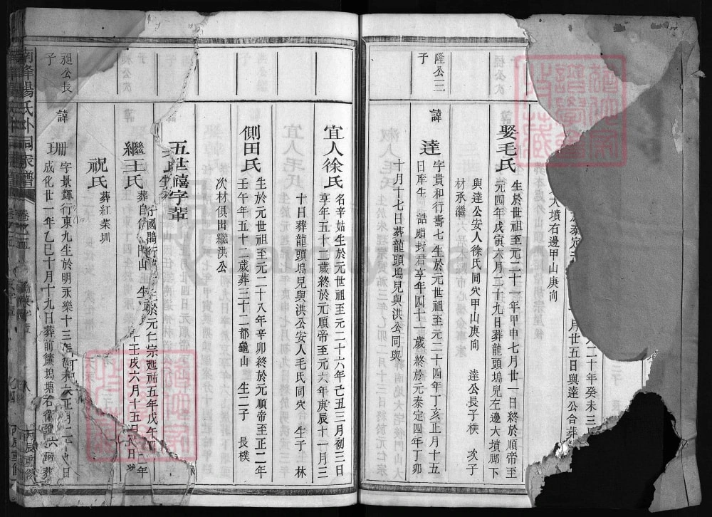 图片[7]-浙江江山南峰杨氏外祠家谱（永思堂）电子版PDF下载-中华家谱网