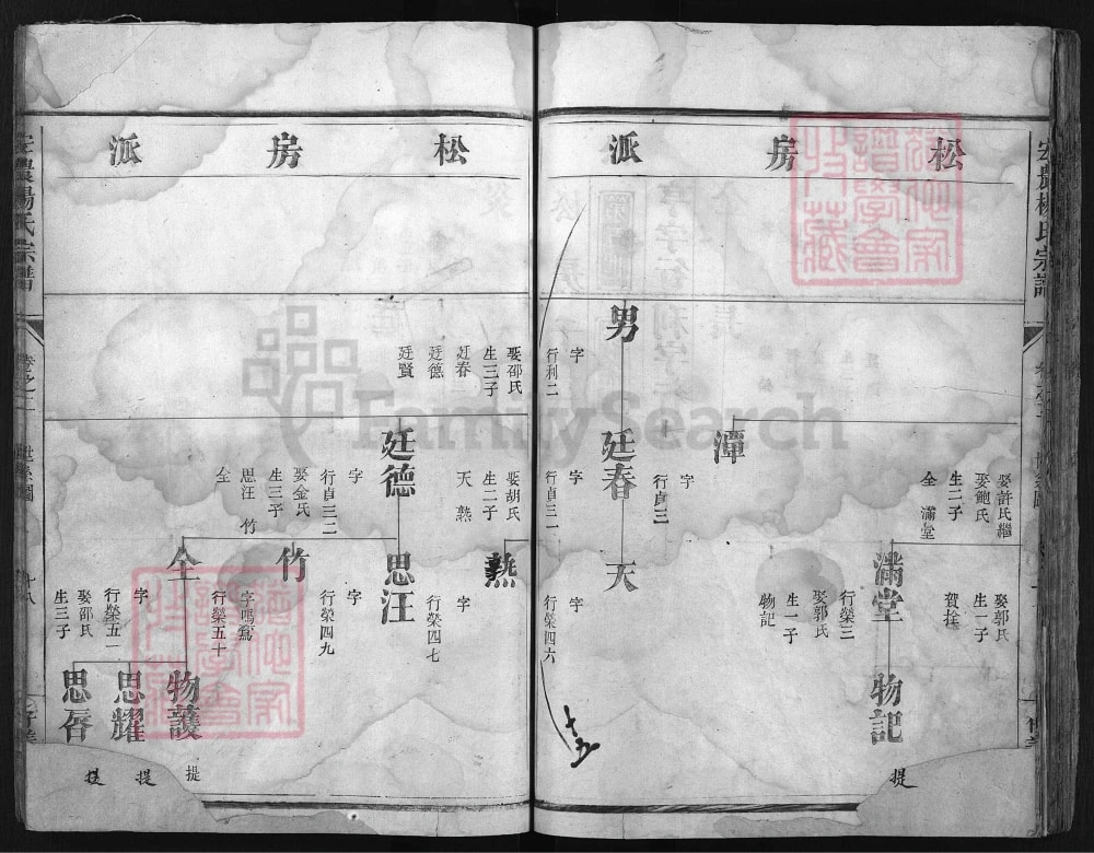 图片[8]-浙江兰溪宏农杨氏宗谱（存义堂）电子版PDF下载-中华家谱网