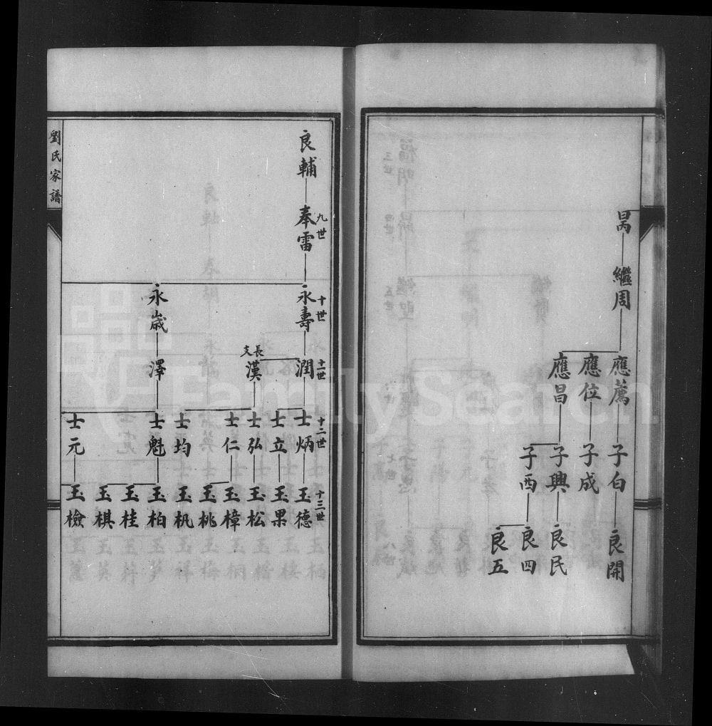 图片[8]-山东莱州刘氏宗谱电子版PDF下载-中华家谱网