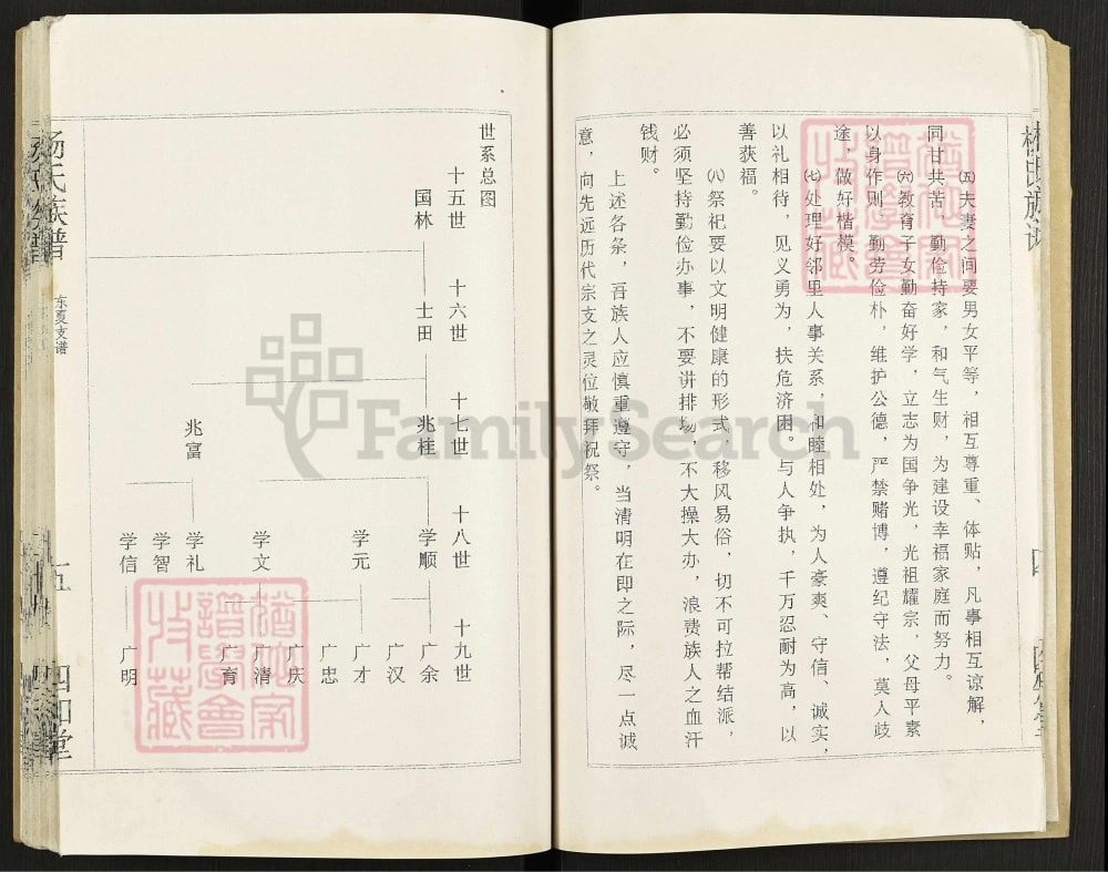 图片[7]-江苏盐城杨氏族谱东夏支谱（四知堂）电子版PDF下载-中华家谱网