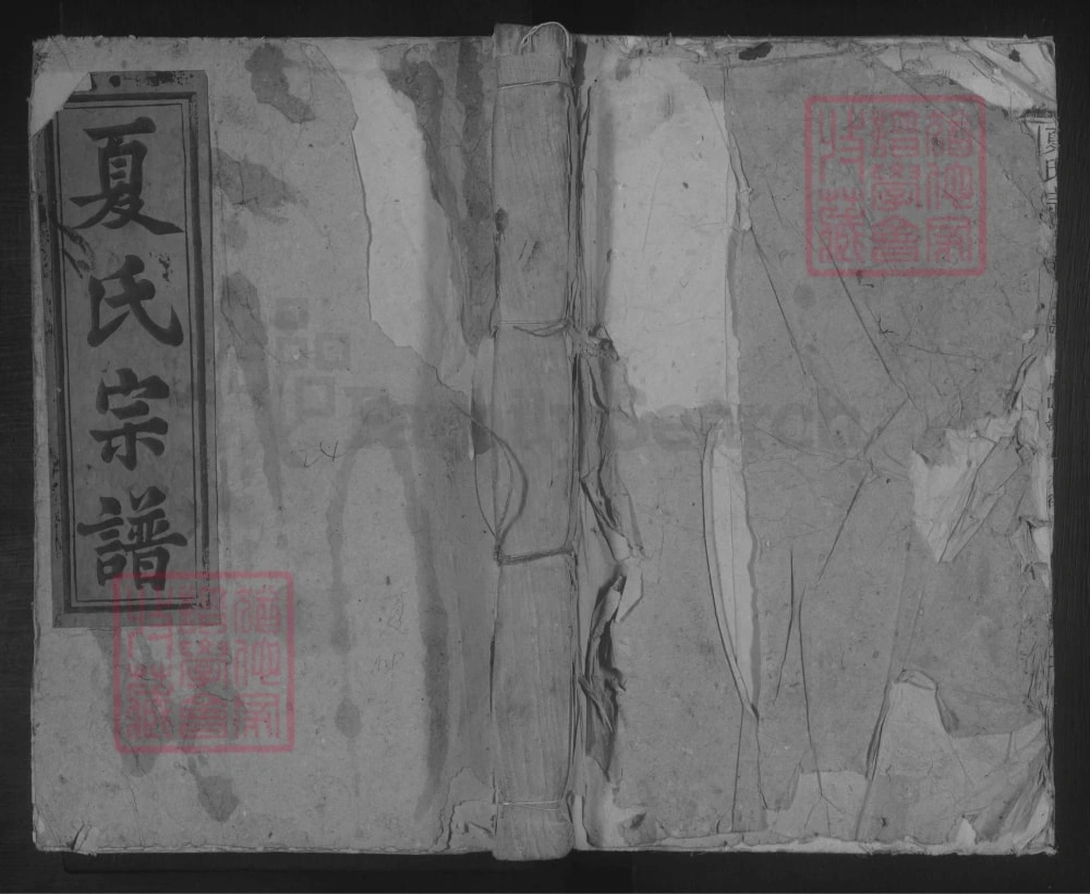 图片[1]-江西九江德安夏氏宗谱电子版PDF下载-中华家谱网