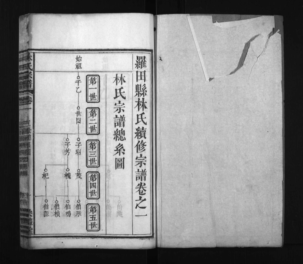 图片[4]-湖北黄冈罗田林氏五修宗谱（崇礼堂）电子版PDF下载-中华家谱网