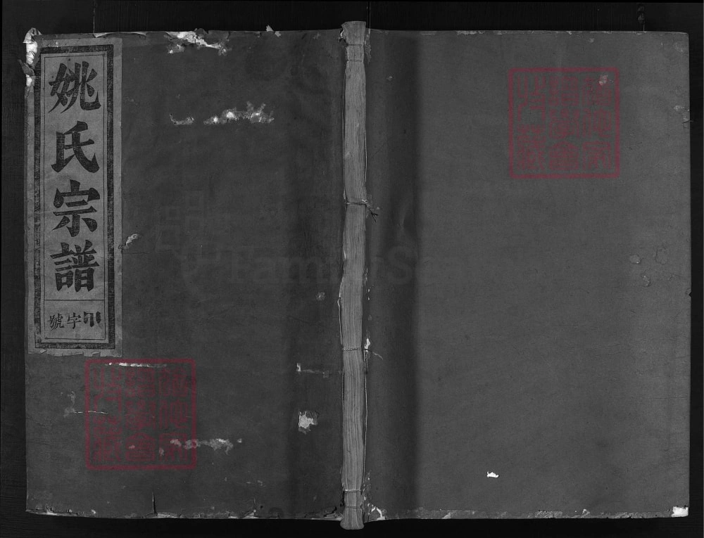 图片[1]-浙江兰溪郡马遗芳姚氏宗谱（万敬堂）电子版PDF下载-中华家谱网