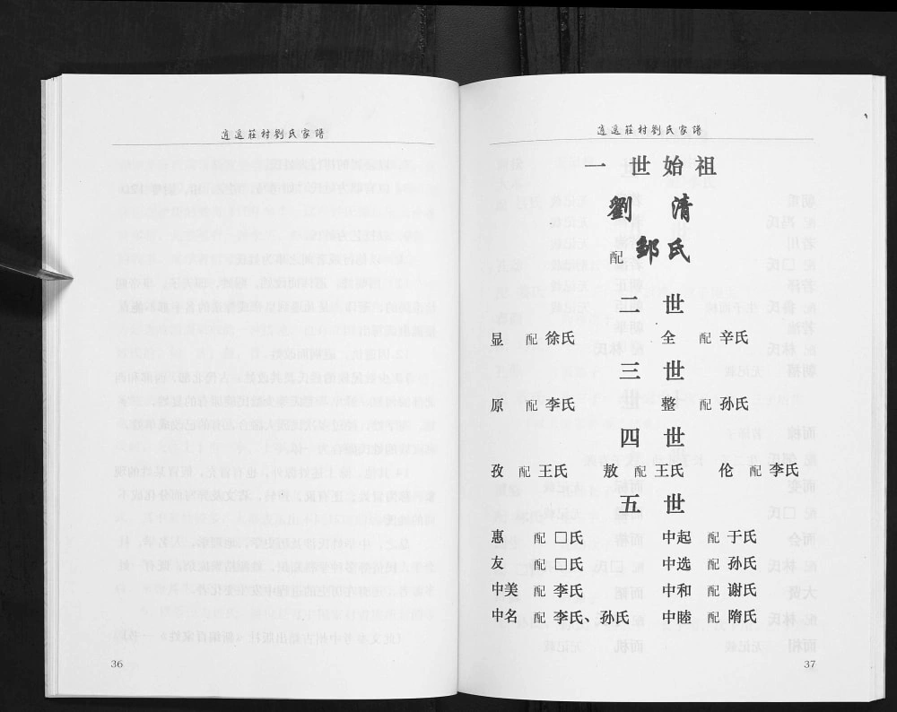 图片[5]-山东栖霞市官道镇逍遥庄村刘氏家谱电子版PDF下载-中华家谱网