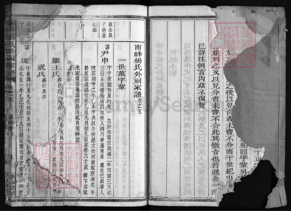 图片[5]-浙江江山南峰杨氏外祠家谱（永思堂）电子版PDF下载-中华家谱网