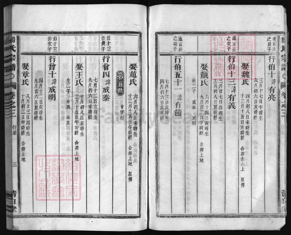 图片[7]-浙江兰溪尖峰杨氏宗谱（清白堂）电子版PDF下载-中华家谱网