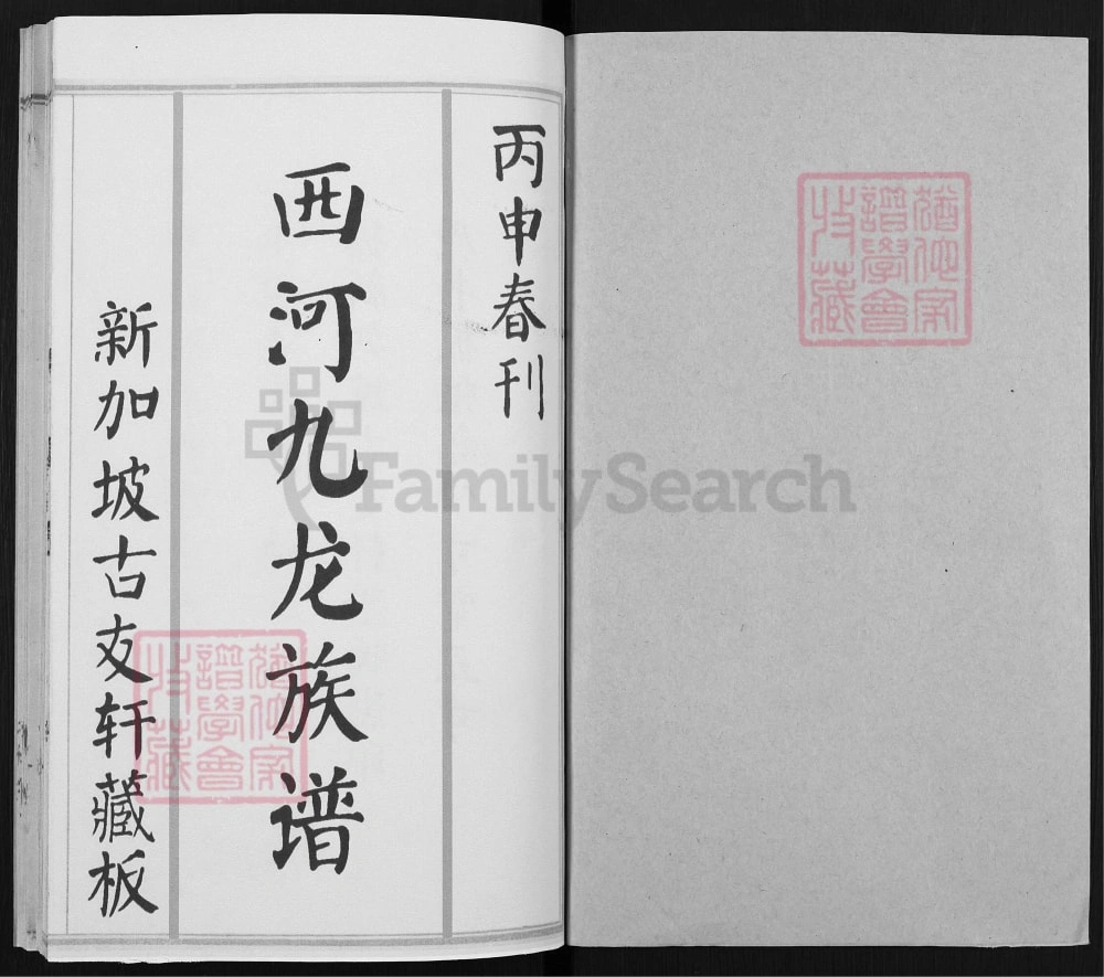 图片[2]-福建三明宁化西河九龙林氏族谱（至善堂）电子版PDF下载-中华家谱网
