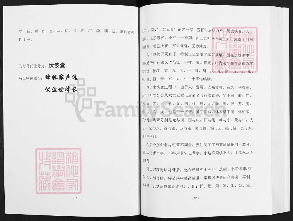 图片[8]-江苏连云港东海县安峰镇马圩马氏宗族家谱（伏波堂）电子版PDF下载-中华家谱网