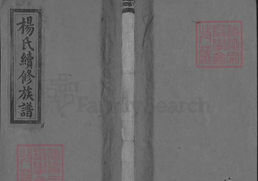 湖南邵阳杨氏续修族谱（清德堂）电子版PDF下载-中华家谱网