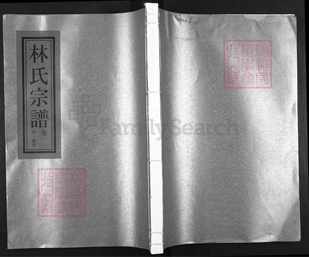 图片[1]-浙江瑞安济南郡林氏宗谱电子版PDF下载-中华家谱网