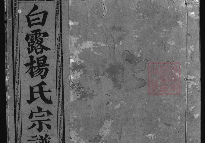 浙江兰溪白露杨氏宗谱-中华家谱网