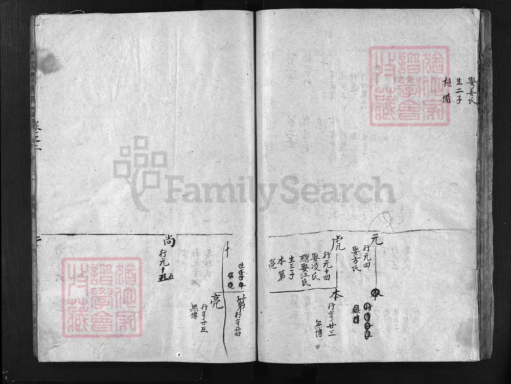 图片[2]-浙江兰溪宏农杨氏宗谱（存义堂）电子版PDF下载-中华家谱网