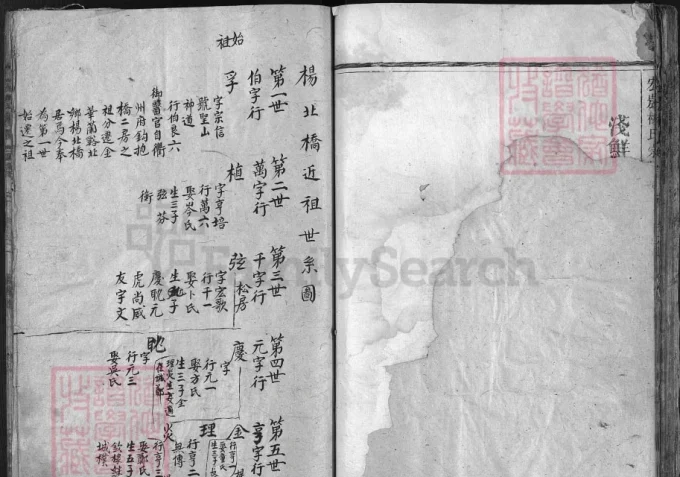浙江兰溪宏农杨氏宗谱（存义堂）-中华家谱网