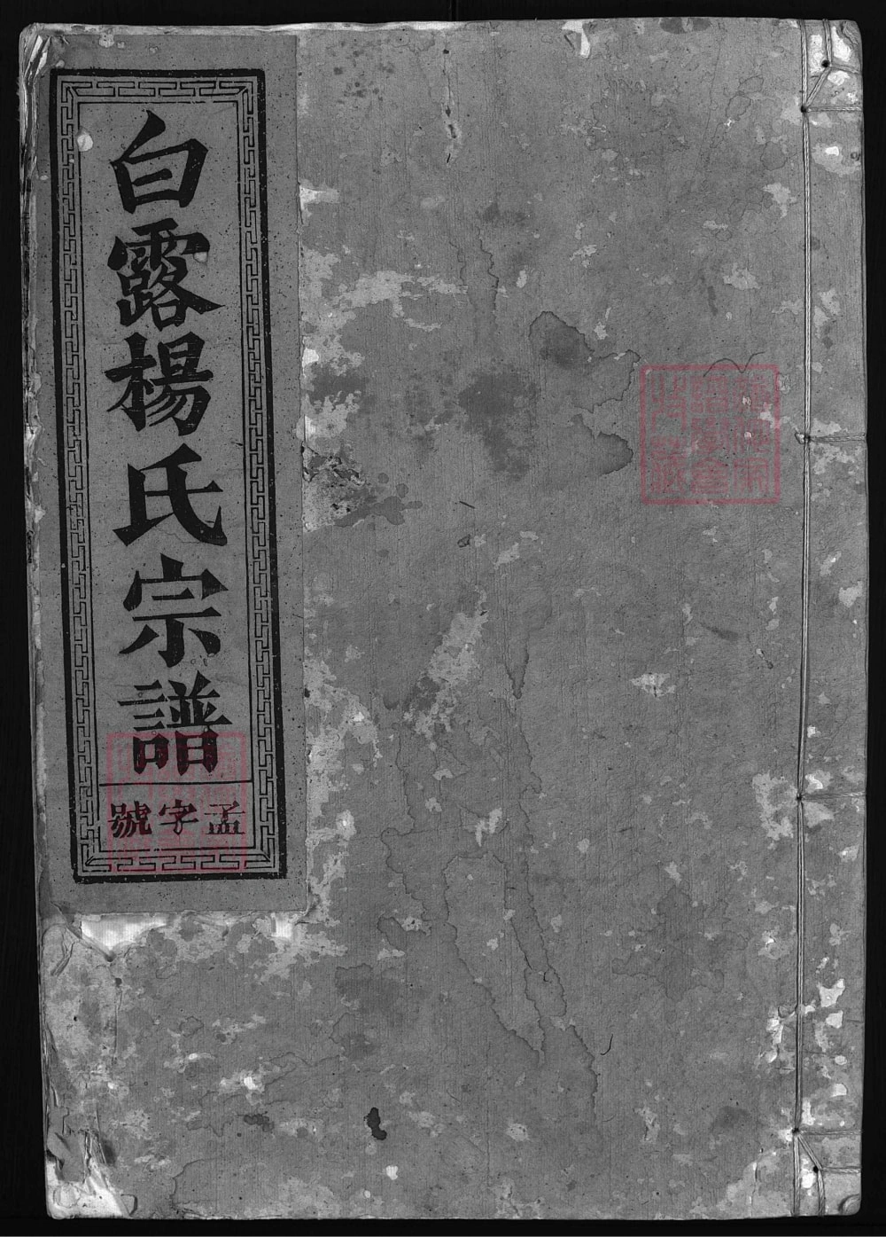 图片[1]-浙江兰溪白露杨氏宗谱电子版PDF下载-中华家谱网