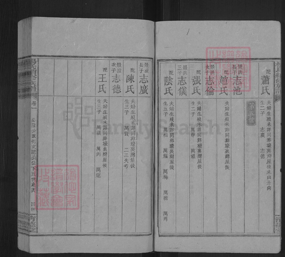 图片[8]-湖南邵阳杨氏续修族谱（清德堂）电子版PDF下载-中华家谱网