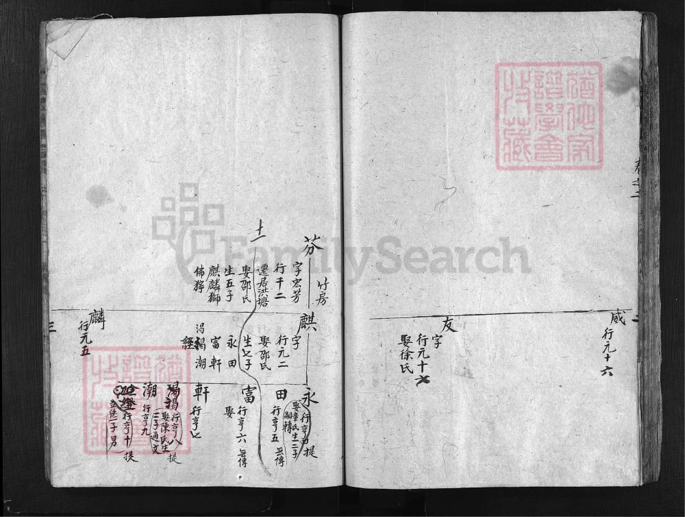 图片[3]-浙江兰溪宏农杨氏宗谱（存义堂）电子版PDF下载-中华家谱网