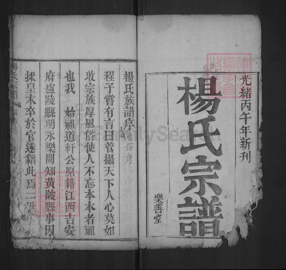 图片[1]-湖北武汉黄陂杨氏宗谱（乐善堂）电子版PDF下载-中华家谱网
