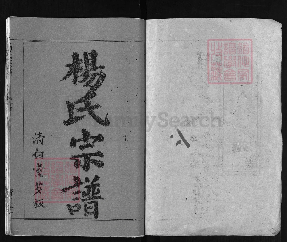 图片[2]-湖北黄冈杨氏八修宗谱（清白堂）电子版PDF下载-中华家谱网
