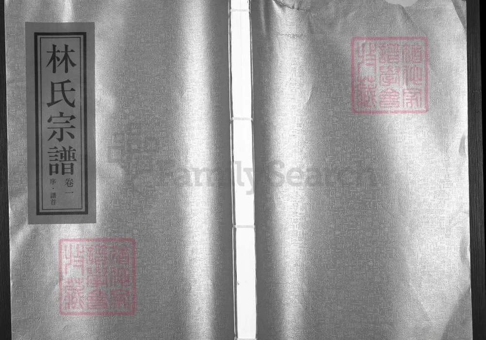 浙江瑞安济南郡林氏宗谱电子版PDF下载-中华家谱网