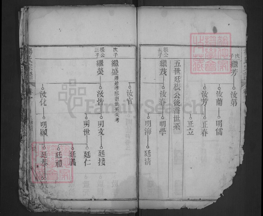 图片[7]-湖北武汉黄陂杨氏宗谱（乐善堂）电子版PDF下载-中华家谱网