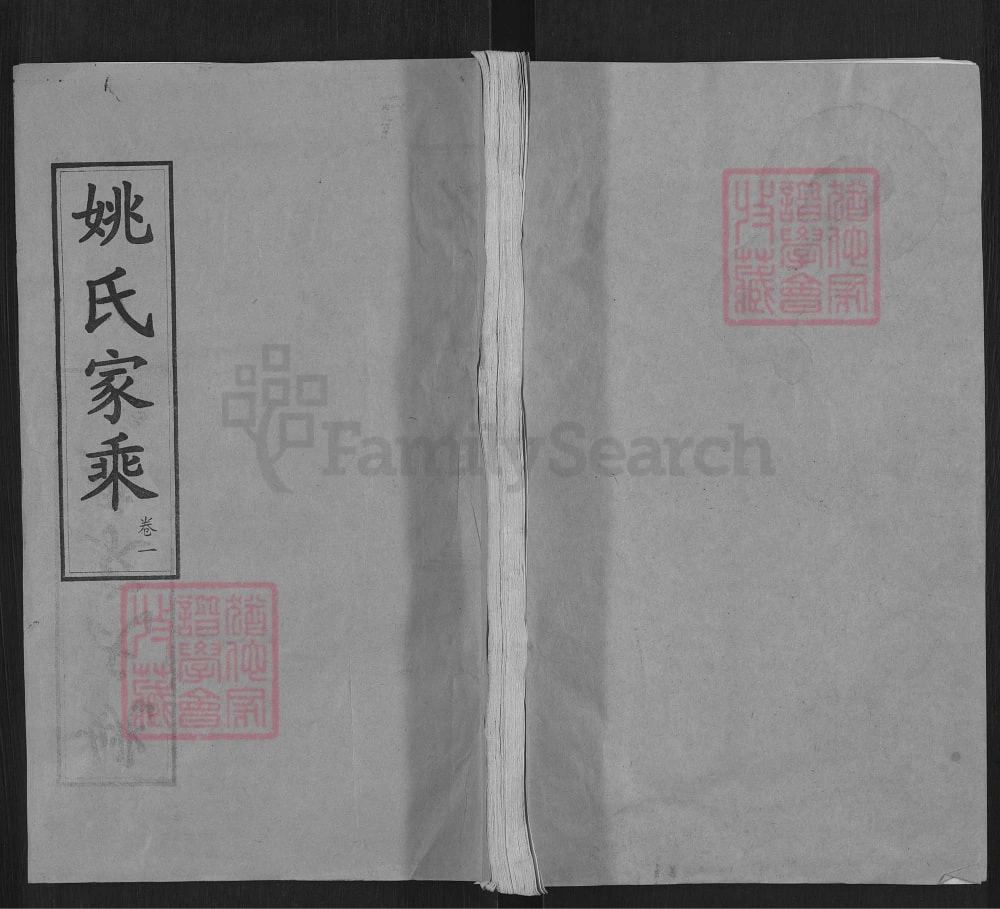 图片[1]-湖北武汉新洲区姚氏家乘（敦本堂）电子版PDF下载-中华家谱网