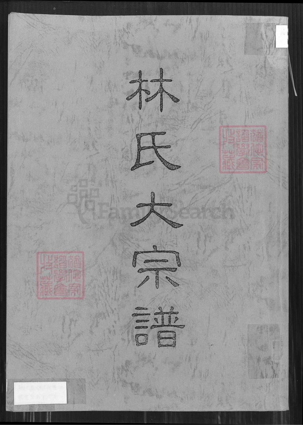 图片[1]-台湾桃园林氏大宗谱电子版PDF下载-中华家谱网