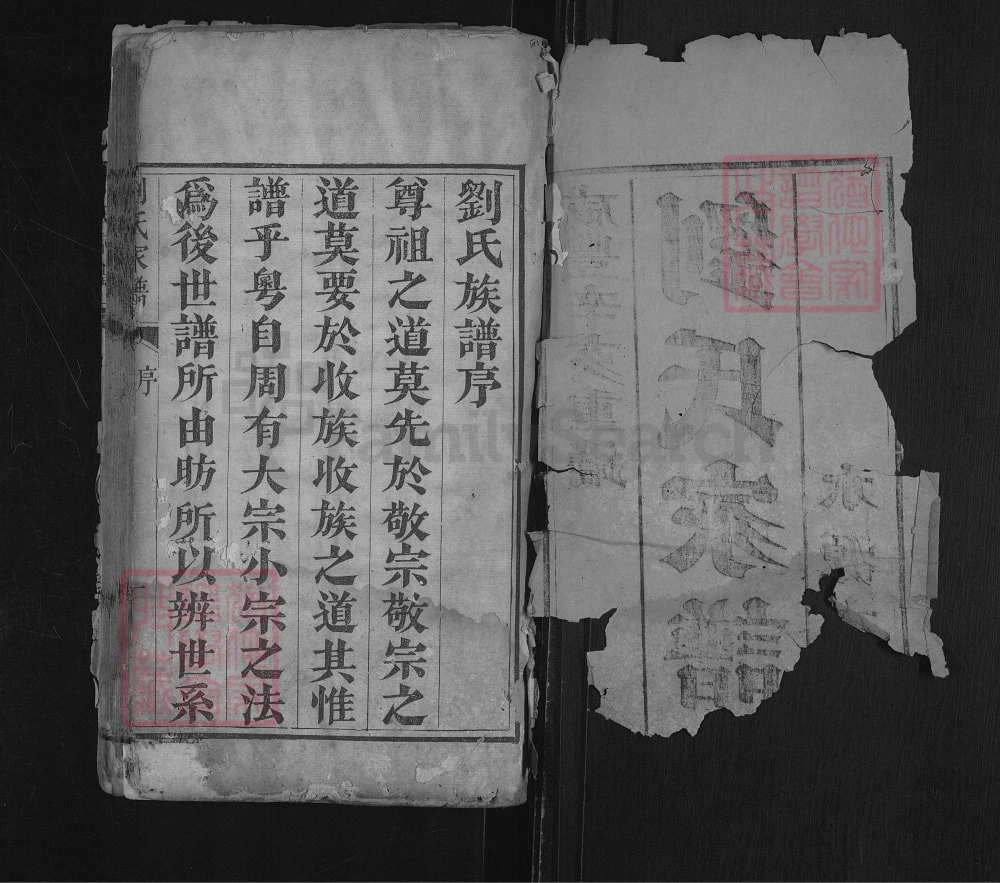 图片[3]-山东泰安宁阳刘氏家谱电子版PDF下载-中华家谱网