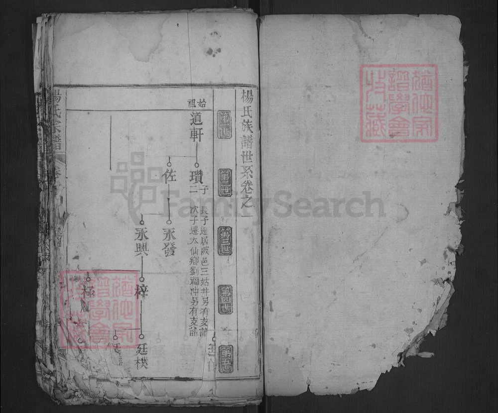 图片[5]-湖北武汉黄陂杨氏宗谱（乐善堂）电子版PDF下载-中华家谱网