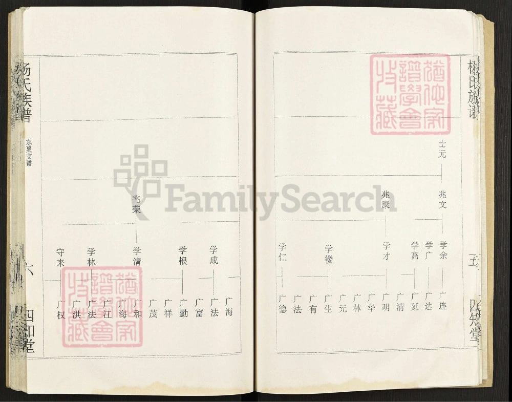 图片[8]-江苏盐城杨氏族谱东夏支谱（四知堂）电子版PDF下载-中华家谱网