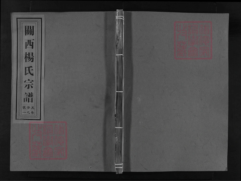 图片[1]-浙江兰溪关西杨氏宗谱（清白堂）电子版PDF下载-中华家谱网