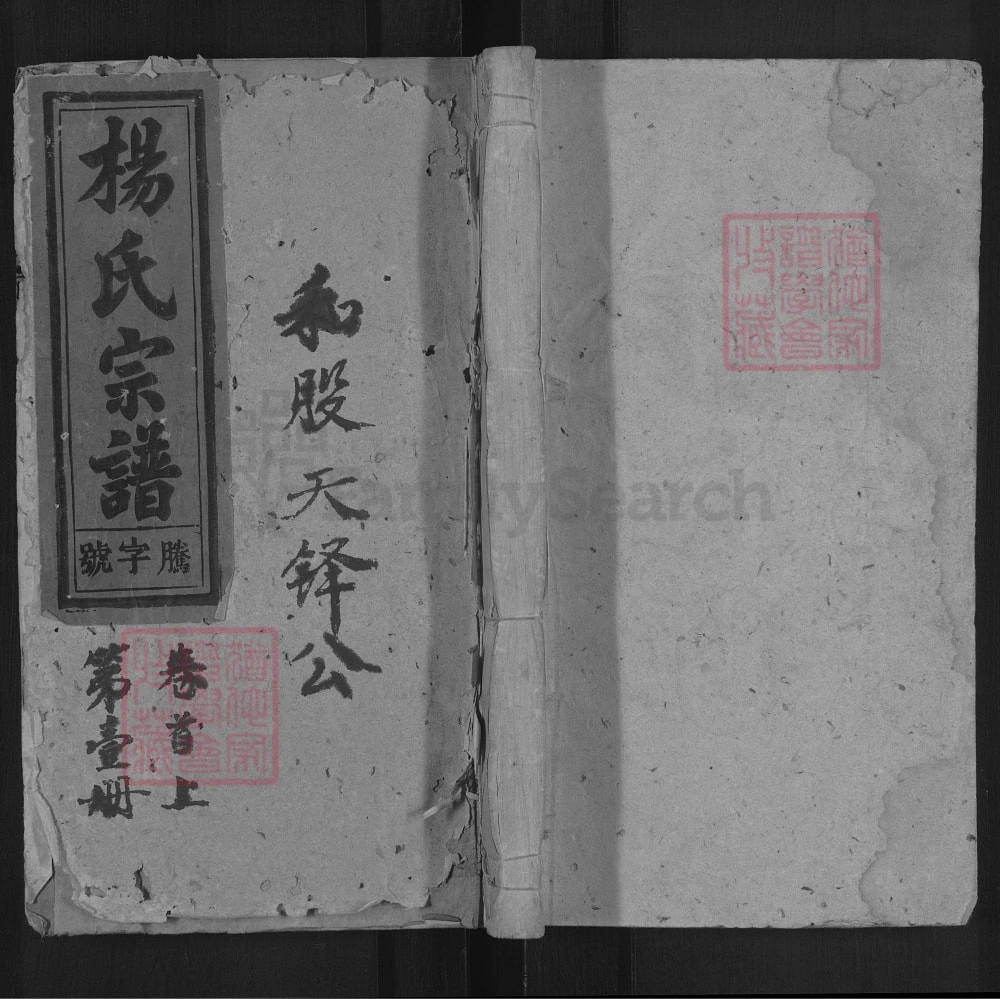 图片[1]-安徽安庆太湖县杨氏宗谱（四知堂）电子版PDF下载-中华家谱网