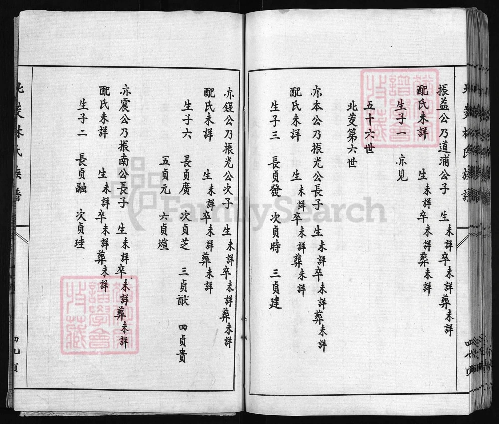 图片[8]-福建福州北茭林氏族谱电子版PDF下载-中华家谱网