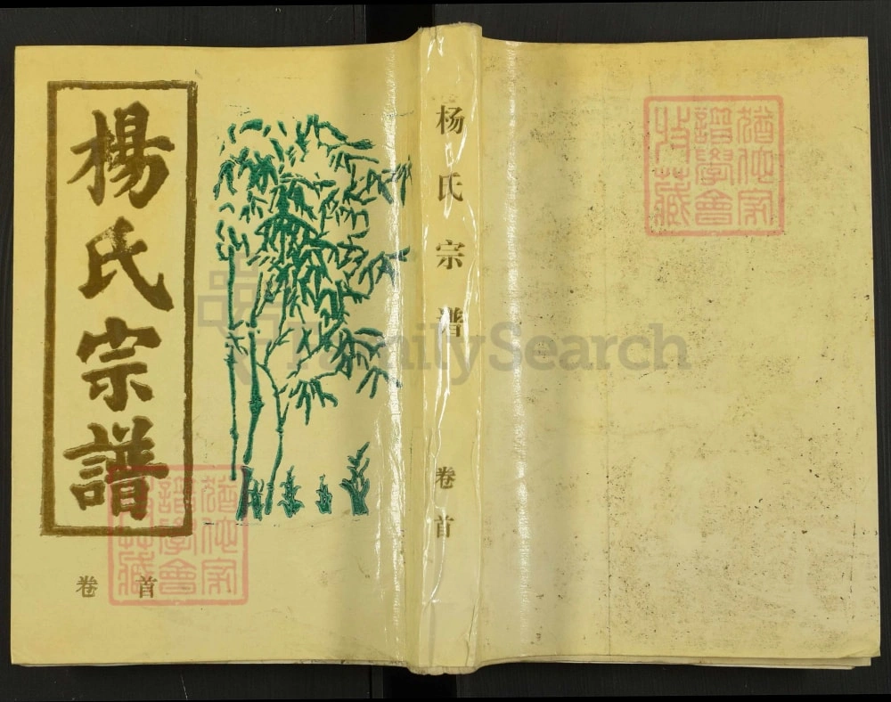 图片[1]-安徽安庆怀宁杨氏宗谱电子版PDF下载-中华家谱网