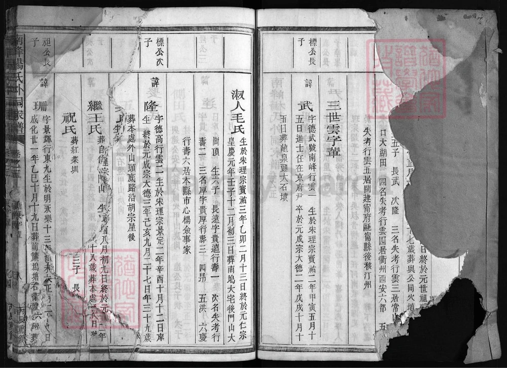 图片[6]-浙江江山南峰杨氏外祠家谱（永思堂）电子版PDF下载-中华家谱网