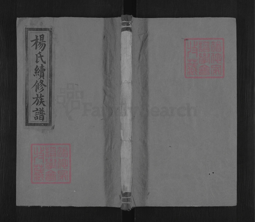图片[1]-湖南邵阳杨氏续修族谱（清德堂）电子版PDF下载-中华家谱网