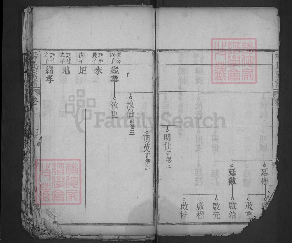 图片[8]-湖北武汉黄陂杨氏宗谱（乐善堂）电子版PDF下载-中华家谱网