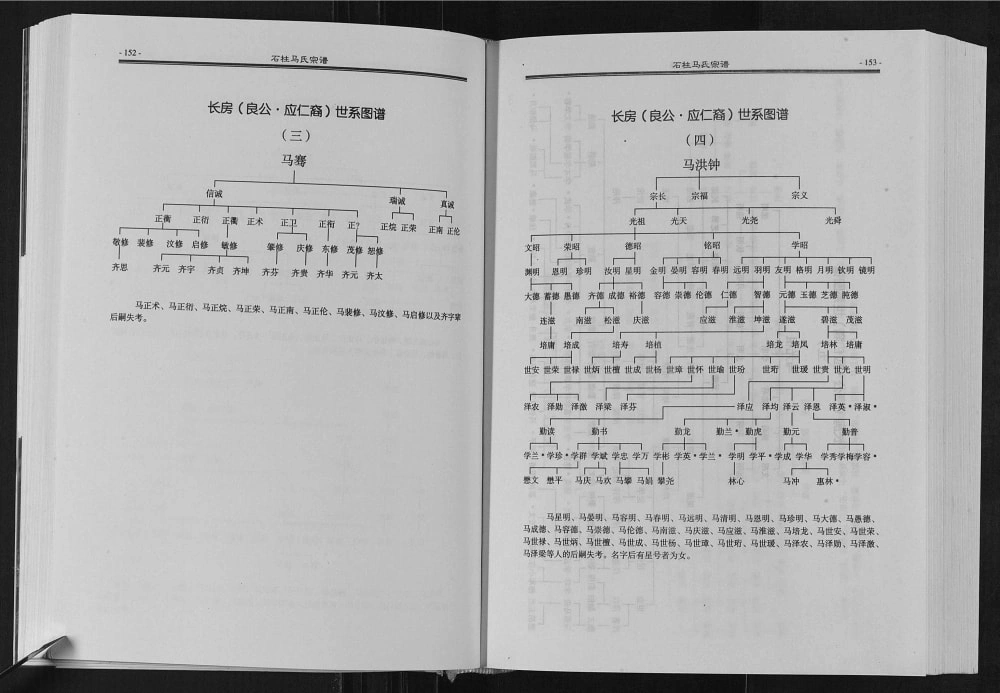 图片[7]-重庆石柱扶风马氏族谱电子版PDF下载-中华家谱网