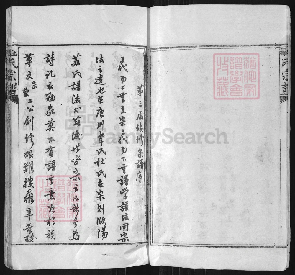 图片[3]-湖北麻城王杨氏宗谱（三槐堂、四知堂）电子版PDF下载-中华家谱网