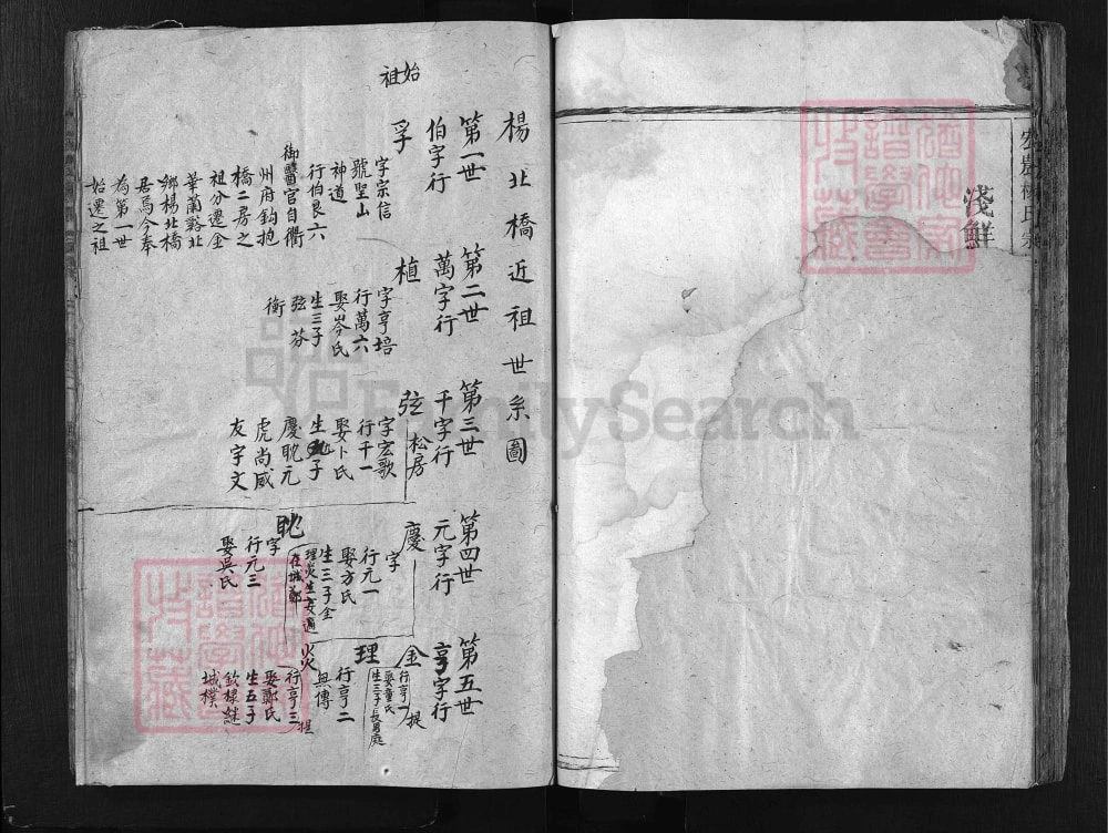 图片[1]-浙江兰溪宏农杨氏宗谱（存义堂）电子版PDF下载-中华家谱网