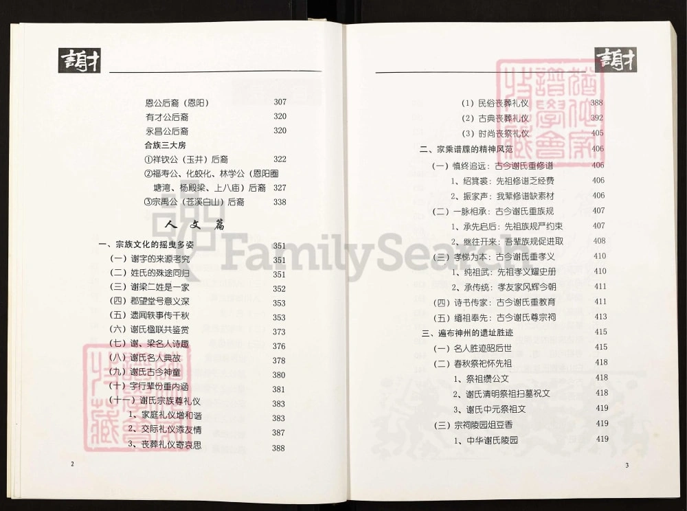 图片[3]-四川巴中恩阳区谢氏族谱（宝树堂）电子版PDF下载-中华家谱网