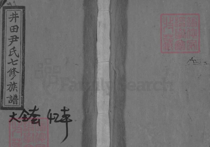 湖南邵阳仁风井田尹氏七修族谱（柏桂堂，1994年本）-中华家谱网