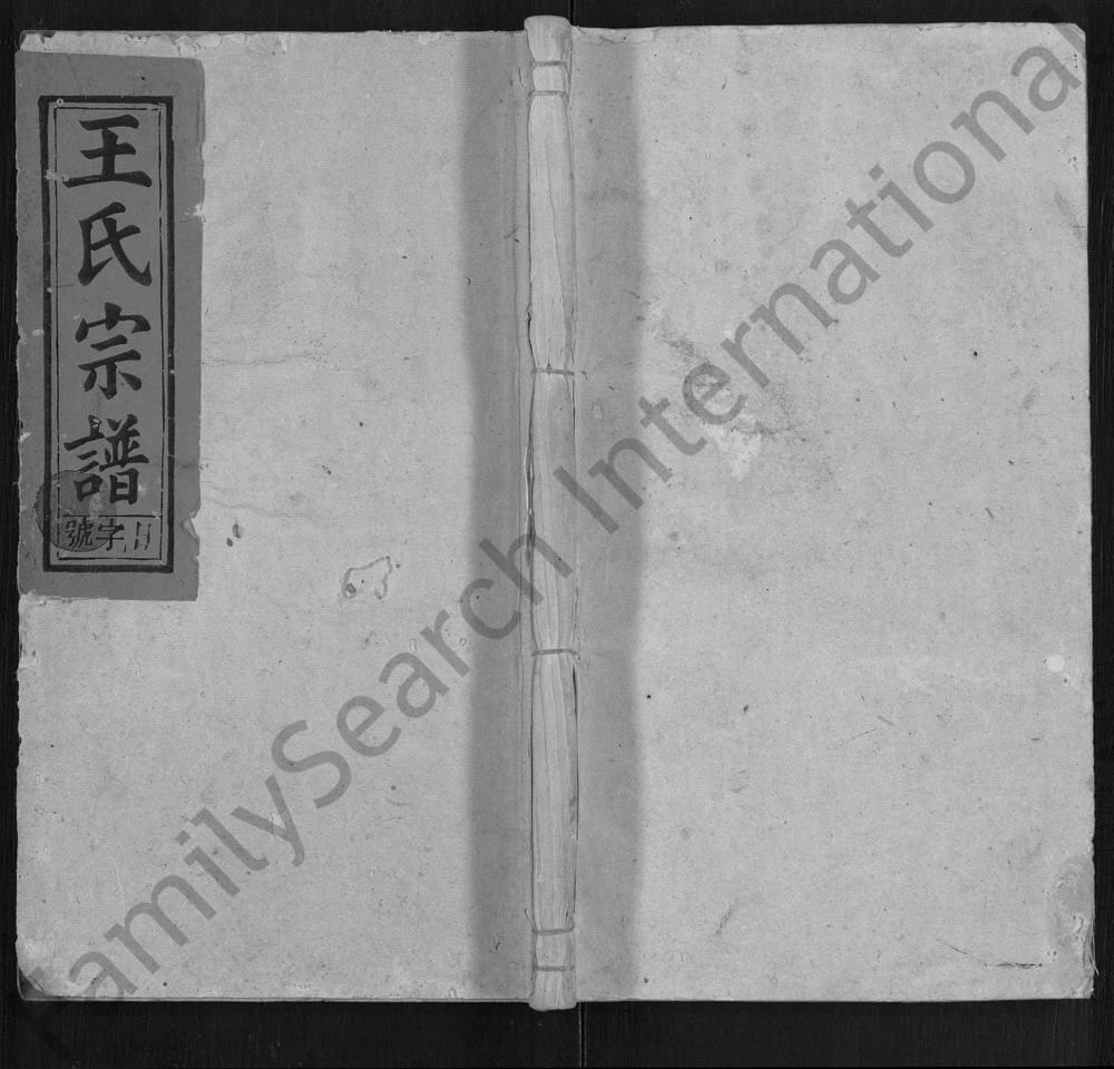 图片[1]-安徽宿松王氏宗谱电子版PDF下载-中华家谱网