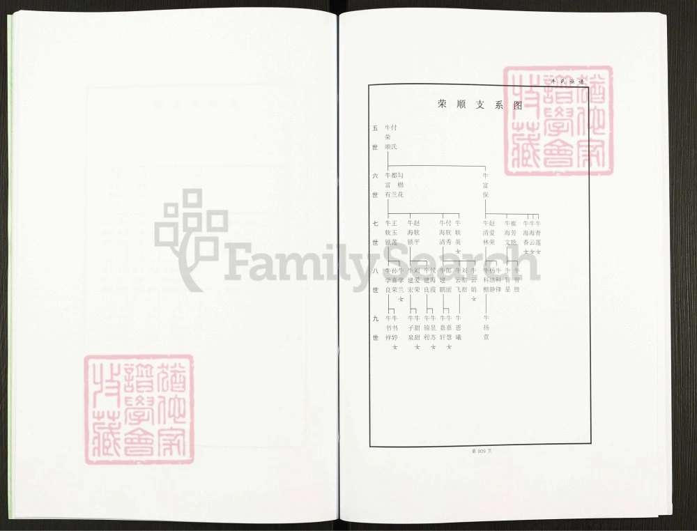 图片[6]-河南辉县岭西村牛氏族谱电子版PDF下载-中华家谱网