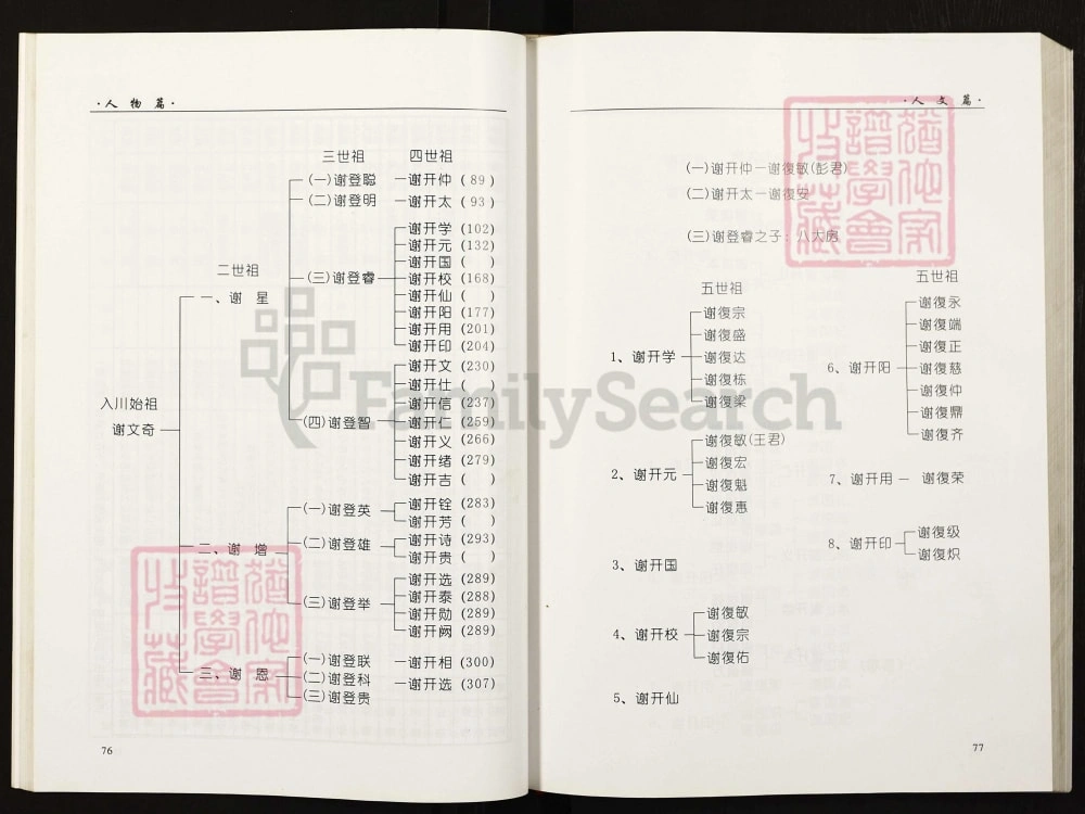 图片[6]-四川巴中恩阳区谢氏族谱（宝树堂）电子版PDF下载-中华家谱网
